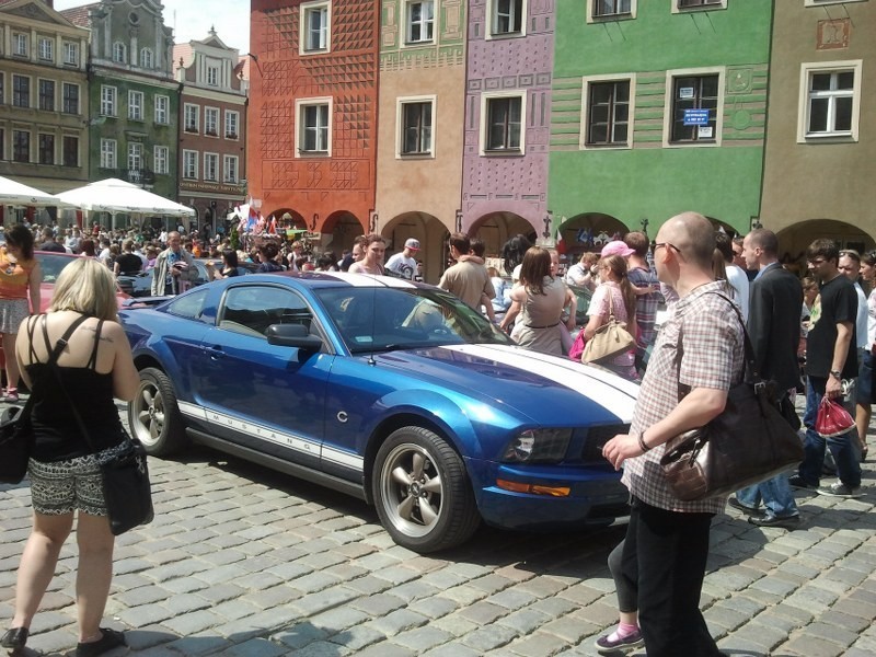 Mustangi na Starym Rynku w Poznaniu