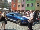 Poznań: Mustangi na Starym Rynku [ZDJĘCIA, WIDEO]