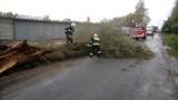 Strażacy podsumowali skutki poniedziałkowej wichury w powiecie grodziskim