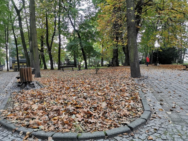 Park miejski w Chrzanowie