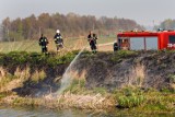 Wiosną wzrasta liczba pożarów łąk i nieużytków. Przyczyną jest wypalanie traw
