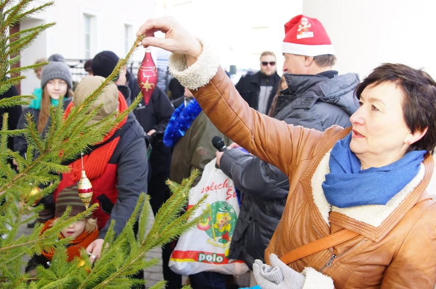 W Kalisz świąteczna choinka stanęła na Prośnie