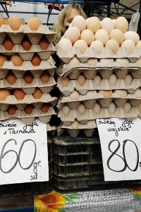 Aktualne ceny jajek we wrześniu 2022. W skupach i sklepie stawki nadal rosną