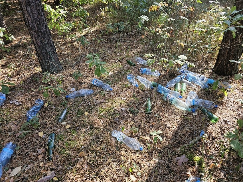 Dziesiątki plastikowych i szklanych butelek leżą pod nogami...