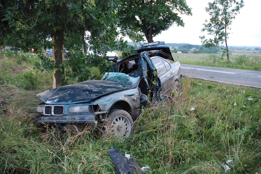 Kolonia Pałecznica: Kierowca BMW roztrzaskał się na drzewie (ZDJĘCIA)