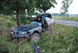 Kolonia Pałecznica: Kierowca BMW roztrzaskał się na drzewie (ZDJĘCIA)