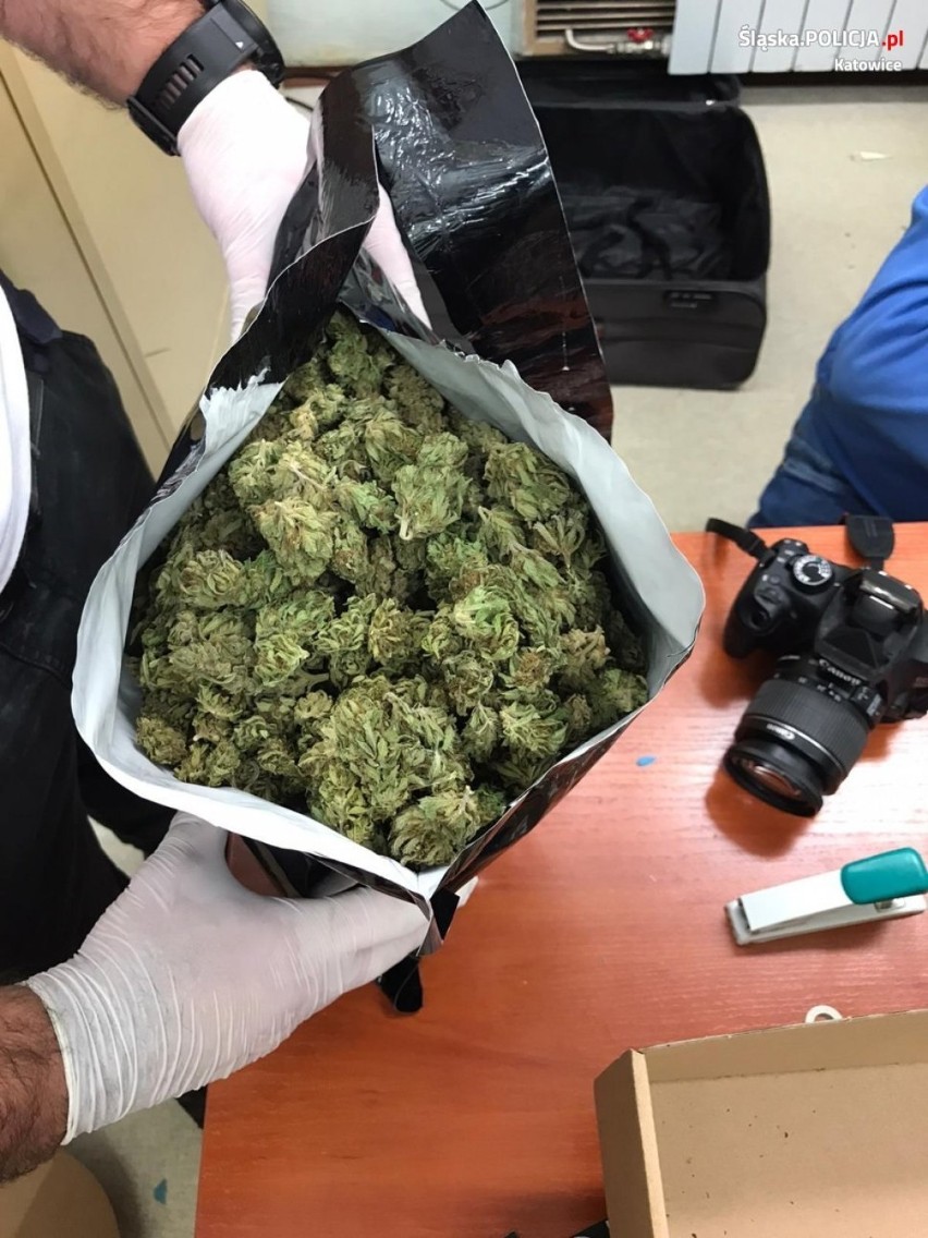 Policjanci przechwycili ponad 4 kg marihuany. Zatrzymano 32-letniego mężczyznę. ZDJĘCIA
