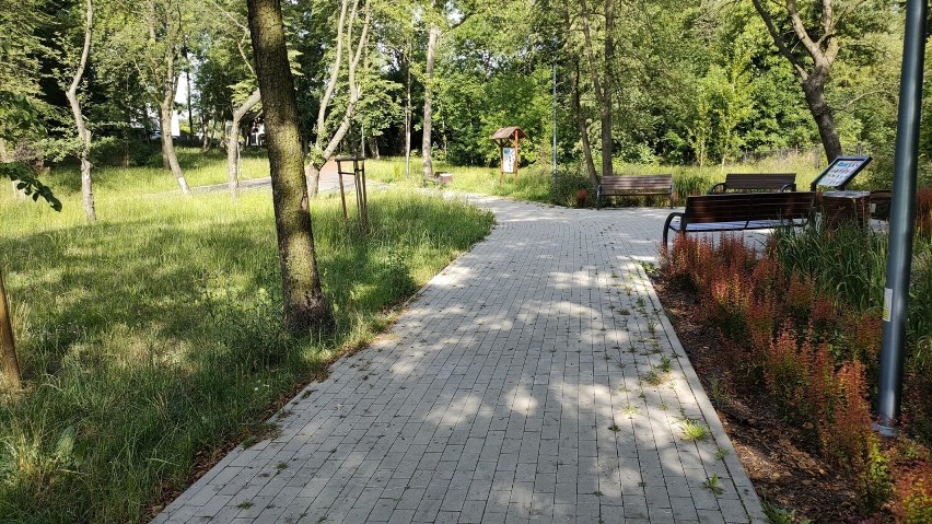 Park Krakowska w Będzinie to zaciszne miejsce...