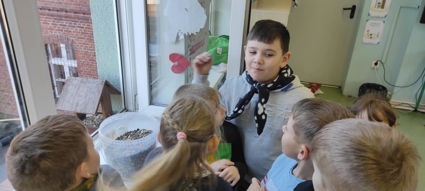 Gmina Oborniki. Uczniowie szkoły w Kiszewie dokarmiali ptaki zimą 