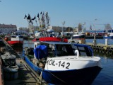 Po ile ryby w Kołobrzegu? Zajrzeliśmy do portu rybackiego