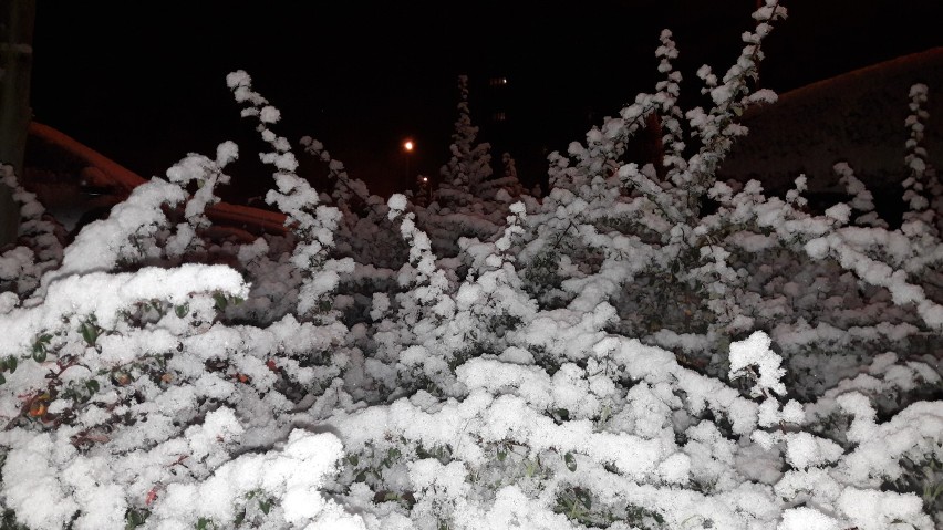 Pierwszy śnieg w Lubinie. Mieliście szansę zobaczyć miasto w zimowej szacie? 