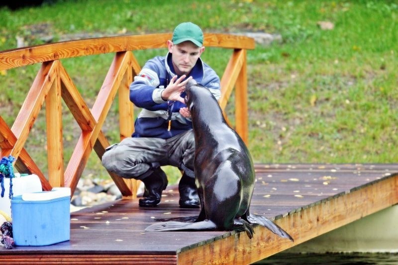 Wrocław: Kolejny odcinek: &quot;Zoo story&quot; nakręcony (ZDJĘCIA)