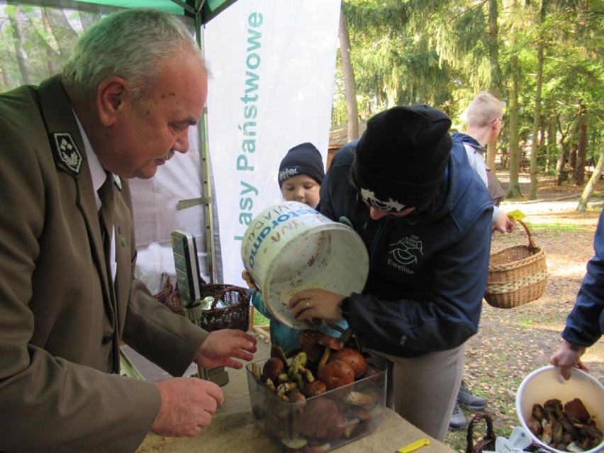 Zebrali 130 kg grzybów. Wielkie grzybobranie w Puszczy Goleniowskiej