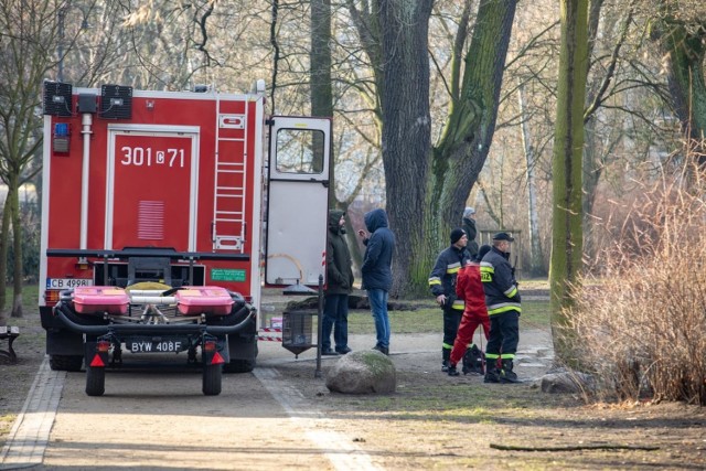 Nazajutrz po zdarzeniu policja i strażacy przeszukiwali pobliski park w poszukiwaniu noża, którym ugodzono obywatela Ukrainy.