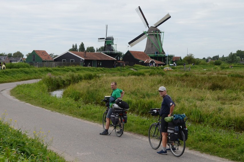 W skansenie wiatraków w holenderskim Zaandam