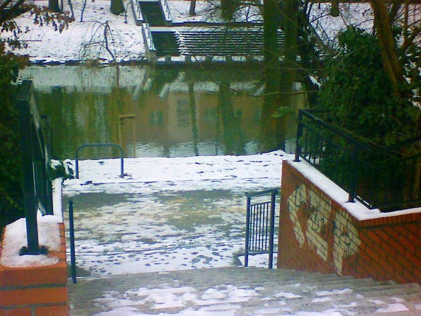 Zdjęcia z trasy marszobiegu w nieco pochmurnym, styczniowym Opolu