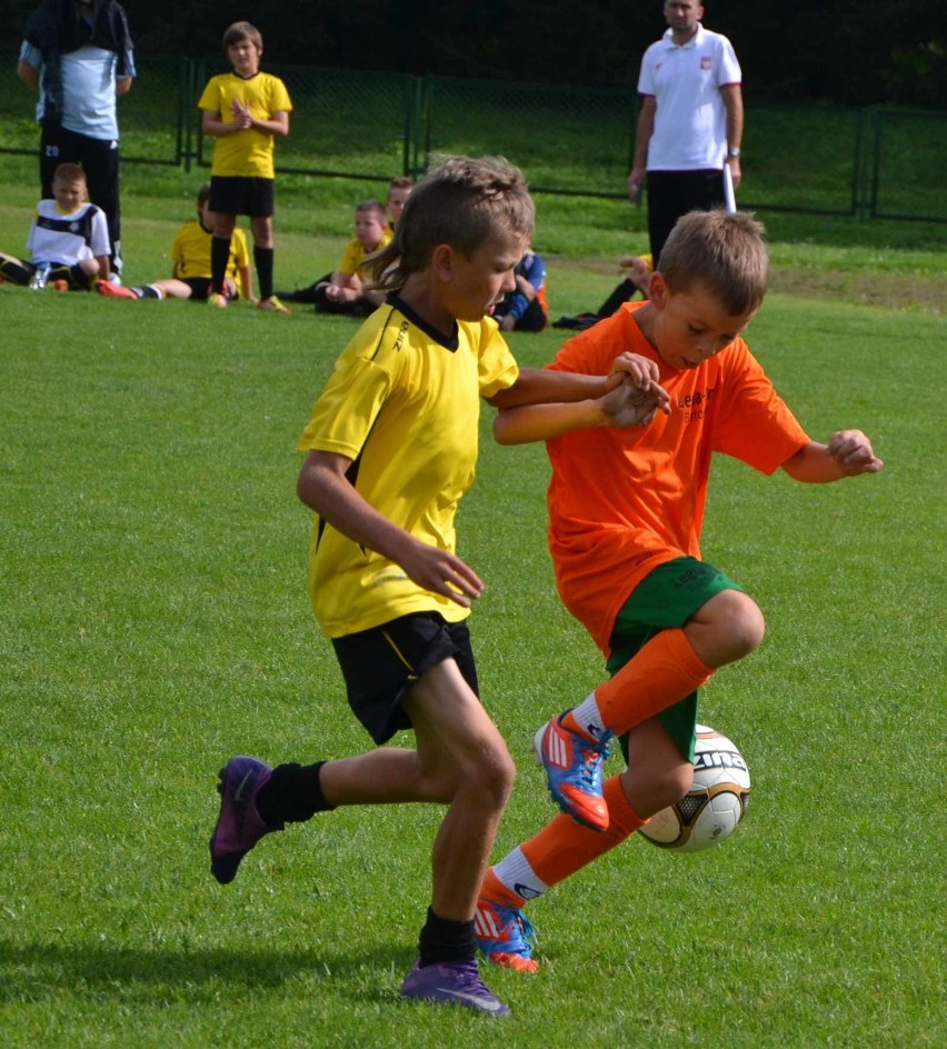 Malbork: Turniej piłkarski Organika Cup 2012. Najlepszy Huragan Morąg