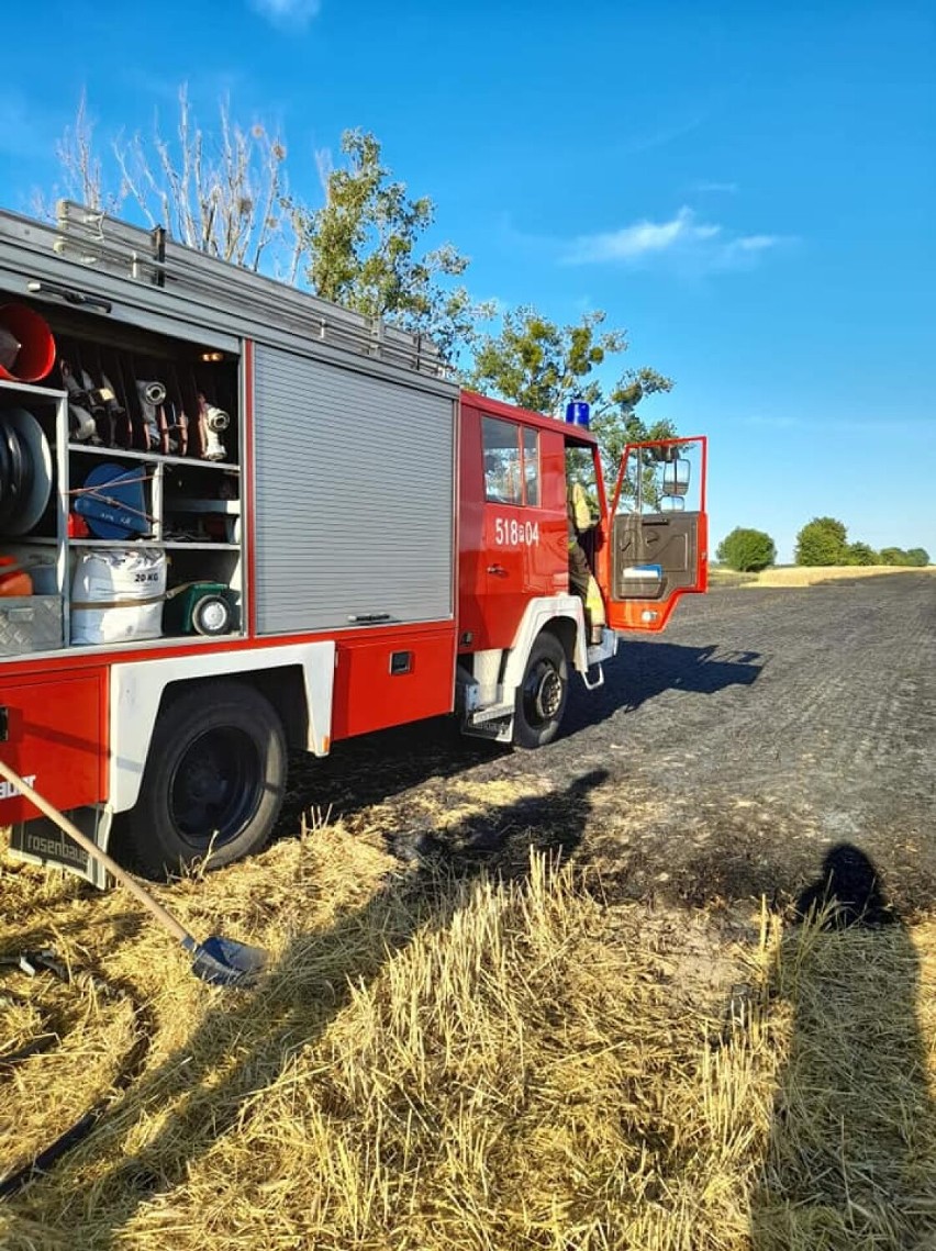 Ogromny pożar w okolicach Zbąszynia. Spłonęło 60 hektarów upraw i las [NOWE INFO][NOWE ZDJĘCIA]