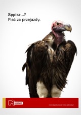 MPK: Sępisz? Płać za przejazdy