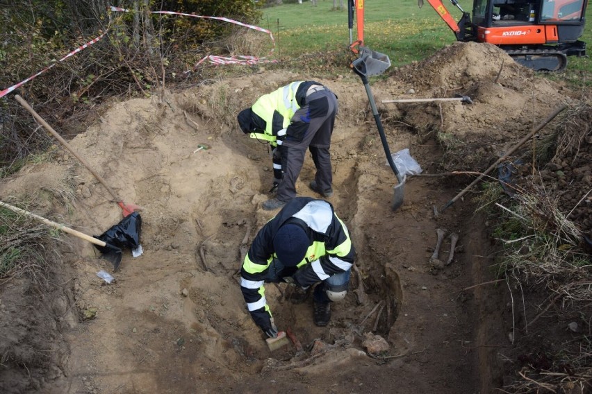 W Zęblewie w gminie Szemud archeolodzy odkryli szczątki żołnierzy niemieckich z okresu drugiej wojny światowej