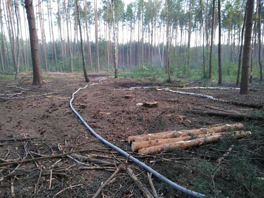 Akcja gaśnicza w lesie między Biernatowem i Średnicą