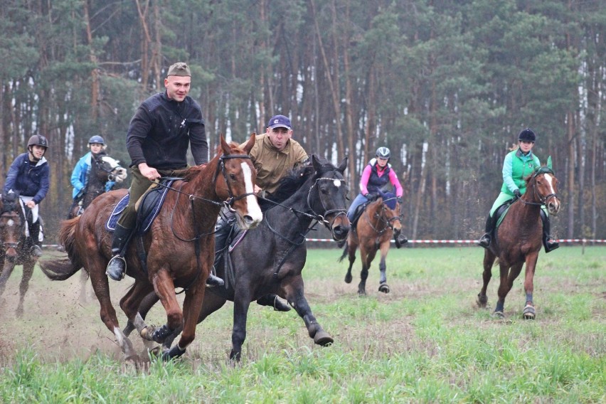 Hubertus 2019 - Krotoszyn