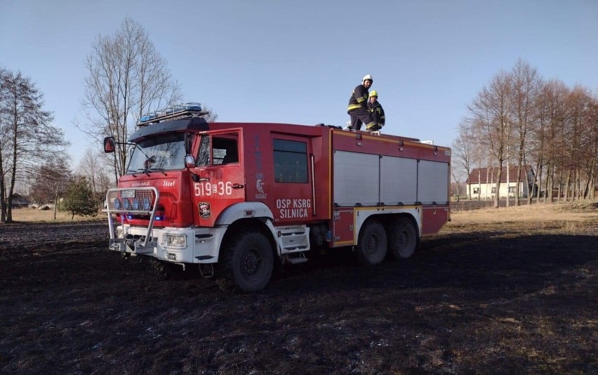 Radomsko/Powiat: Strażacy gasili cztery pożary suchych traw