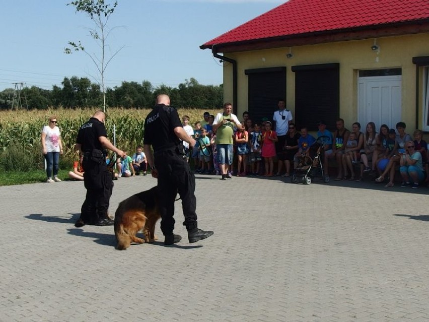 „Cwaniak” i „Ares” z inowrocławskiej policji zaprezentowali swoje umiejętności [zdjęcia]