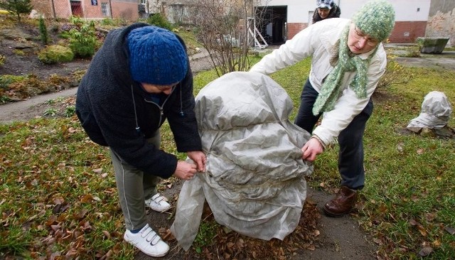 Mieszkańcy wałbrzyskiego Śródmieścia sami zadbali o swoje podwórko przed kamienicą
