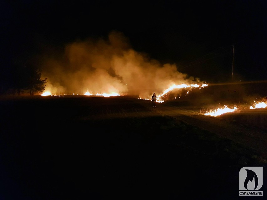 Powiat pustoszą pożary traw - seria podpaleń w Kulejach ZDJĘCIA
