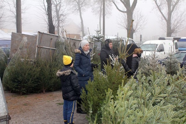 Inowrocławianie chętnie kupują choinki na Targowisku Miejskim