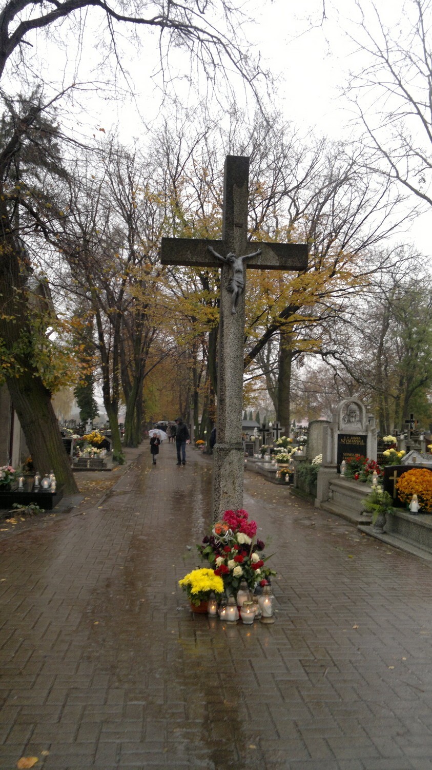Zdjęcia z cmentarzy pleszewskich