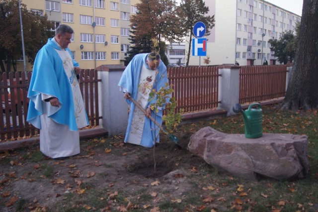 Dni Kultury Chrześcijańskiej w Radomsku. Dąb Rodziny w parafii św. Marii Magdaleny