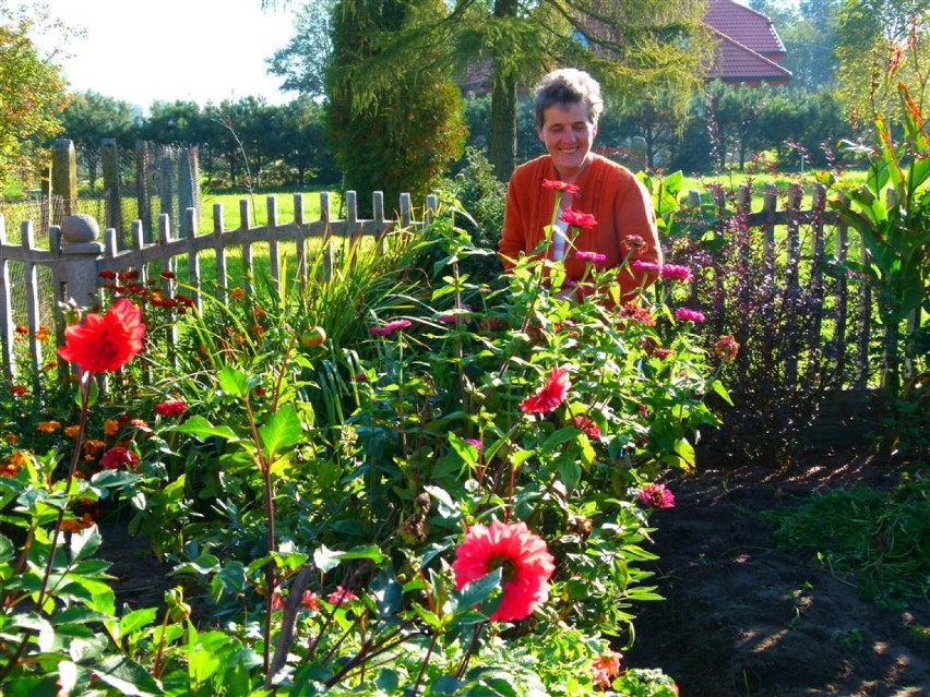 Jesienny ogród pani Ani z Paprotni