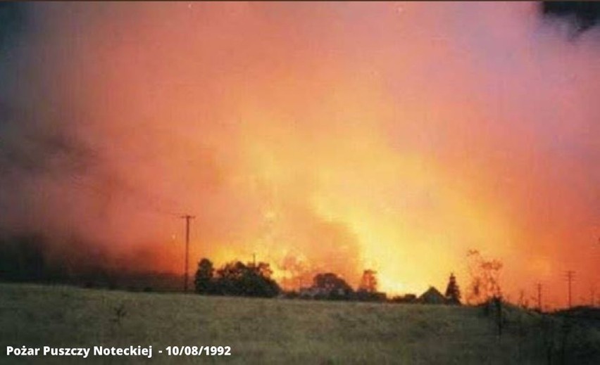 Pożar Puszczy Noteckiej, sierpień 1992 rok
