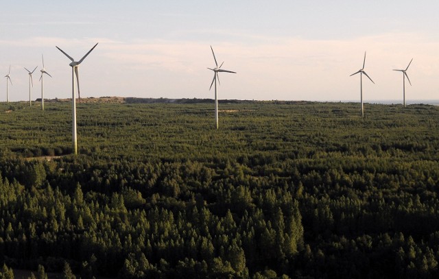 Najwięcej elektrowni wiatrowych stoi na razie na Górze Kamieńskiej