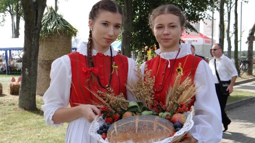 Dożynkowa ściąga! Święta Plonów w powiecie ostrowskim: sprawdź co, gdzie i kiedy