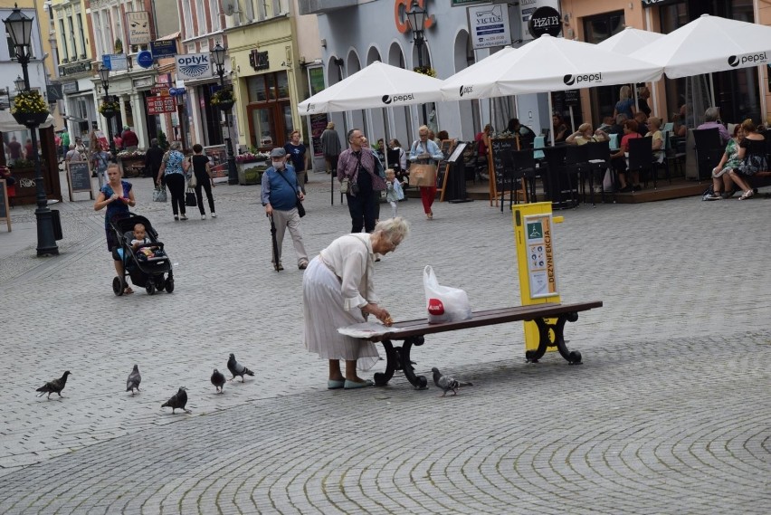 Sanepid kontroluje m.in. lokale gastronomiczne, czy...