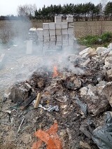Kalisz: Palili śmieci na budowie. Namierzyła ich straż miejska. ZDJĘCIA
