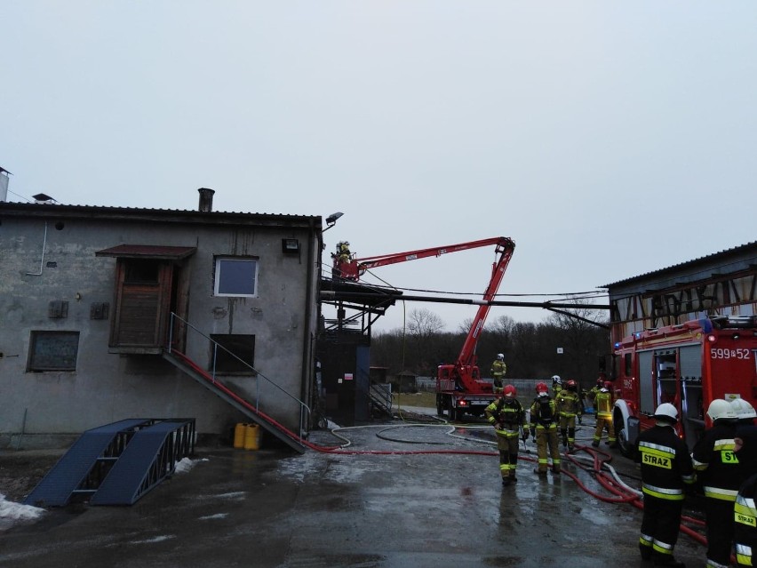 Gmina Pniewy: Pożar na terenie tartaku w Jakubowie [FOTO]