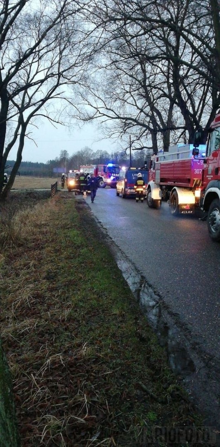 Samochód osobowy wypadł z drogi na trasie Radomierowice - Grabice [ZDJĘCIA]