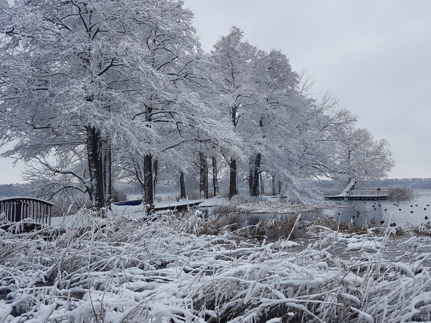 Szczecinecki park w zimowej scenerii, wkrótce jednak nie...