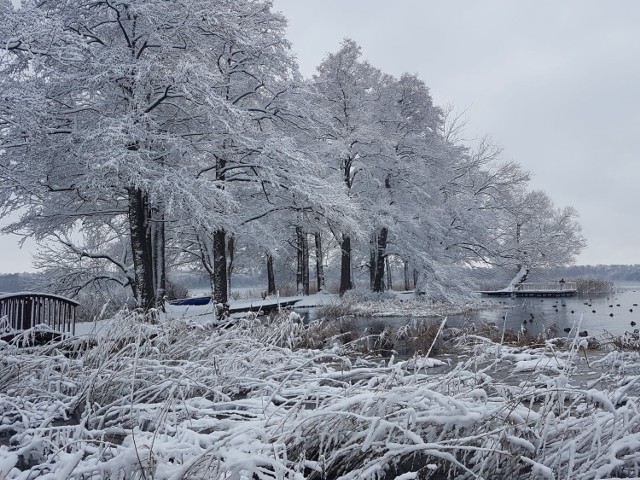 Szczecinecki park w zimowej scenerii, wkrótce jednak nie będzie tak sympatycznie