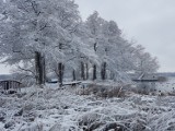 "Bestia ze wschodu" dotrze nad Szczecinek? Namiastkę już mieliśmy [zdjęcia]