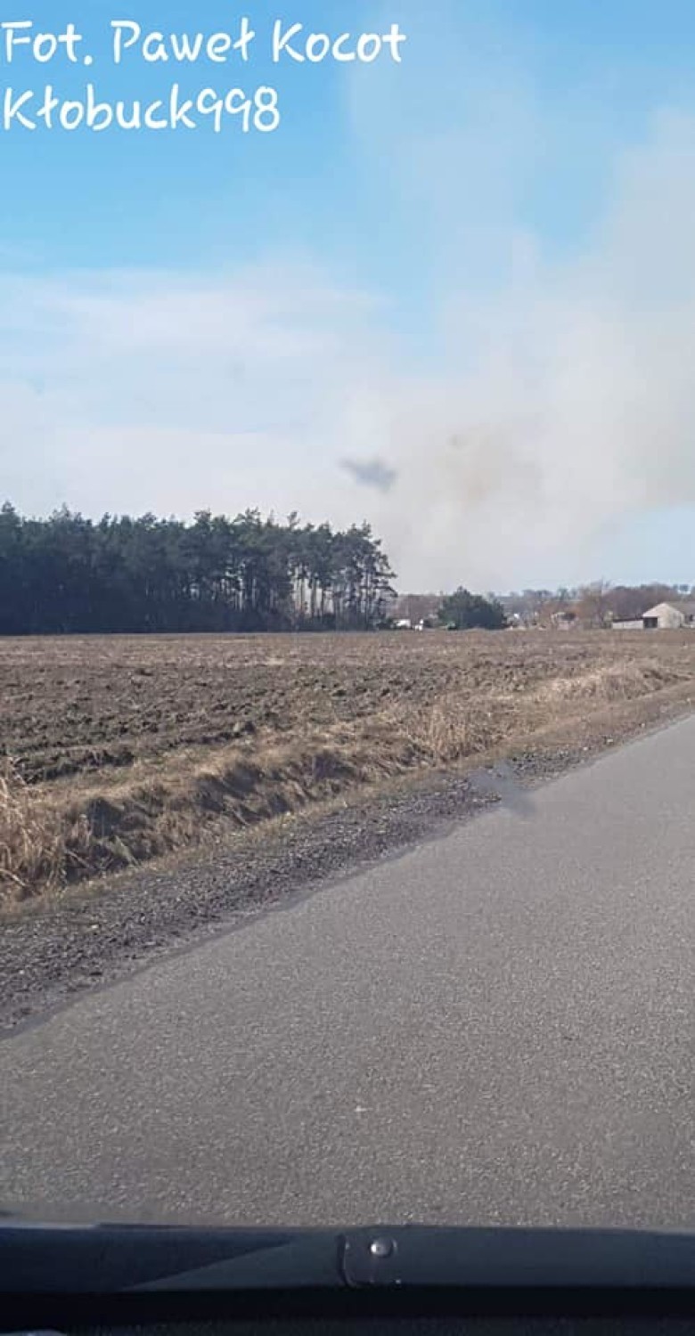 Pożar traw w Dankowie