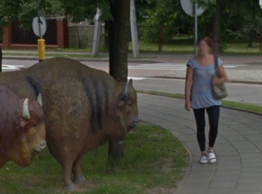 Mieszkańcy Hajnówki na zdjęciach Google Street View. Sprawdź, czy złapała cię kamera! (zdjęcia)