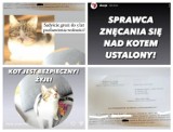 Sadysta z Gdyni powiesił kota na kablu od suszarki i „pochwalił się” się tym w internecie. Policja ma już jego dane
