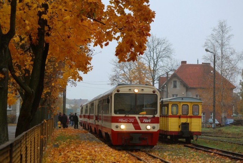 Nowy Dwór Gdański. Kursy kolei wąskotorowej na Wszystkich Świętych