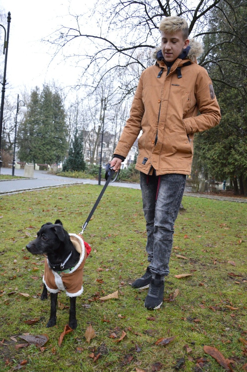 Mikołajki w parku miejskim w Miastku. Świętych Mikołajów było aż czterech. Mieli swoje pojazdy (FOTO+VIDEO)