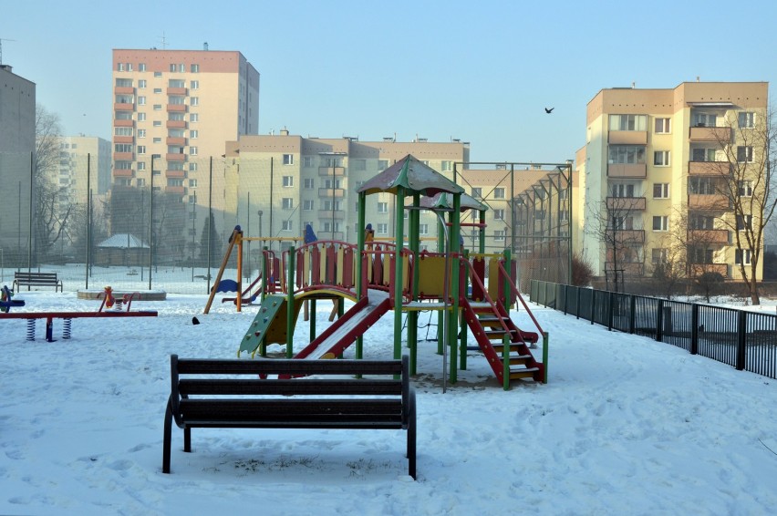 Z psem można już wejść na boisko i plac zabaw